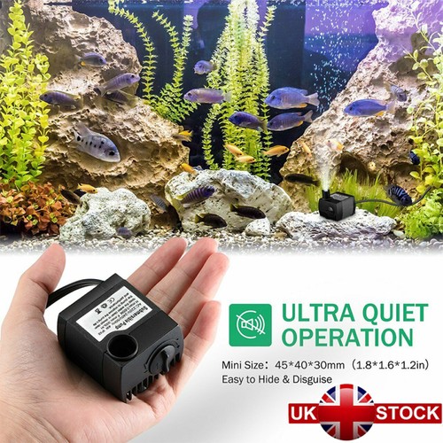 Plug electric water - uk,